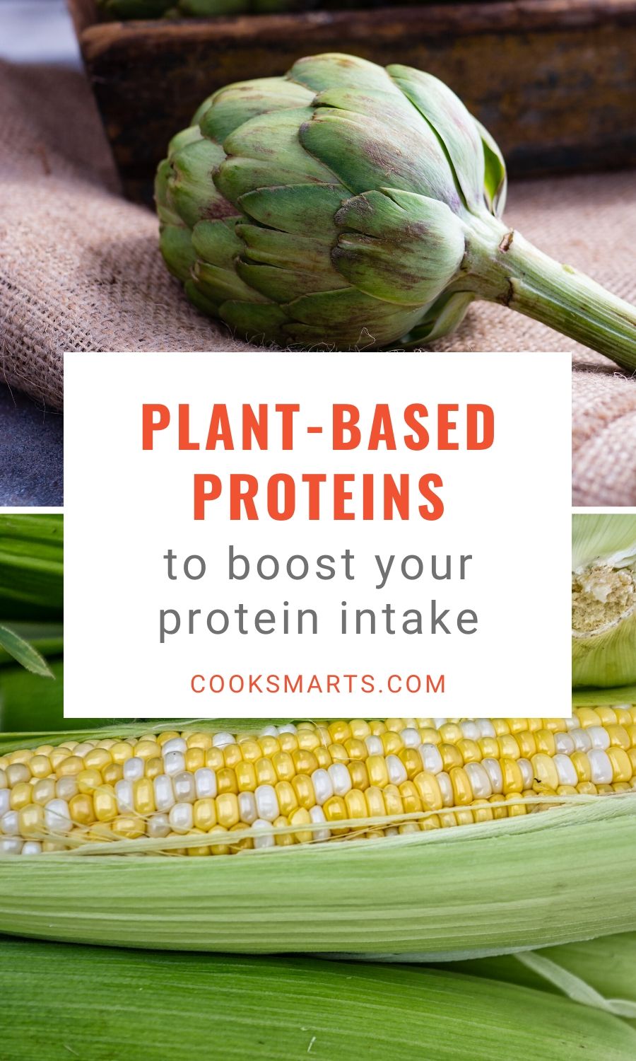Guide to Protein-Packed Veggies | Cook Smarts Infographic
