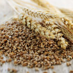 Anatomy of a Grain