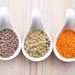 I’m vegetarian. What nutrition elements should I focus on?