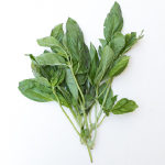 Herbs