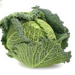 Cabbage