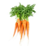 Carrots