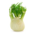 Fennel