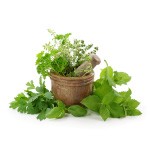 Herbs