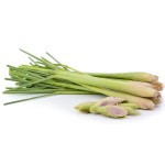 Lemongrass