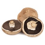 Portobello Mushrooms