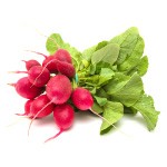 Radishes